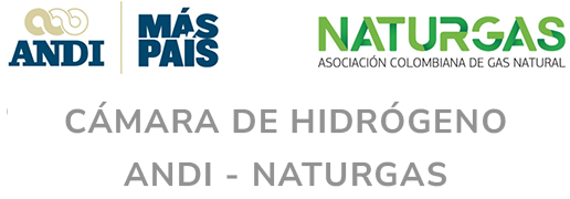 cámara andi naturgas