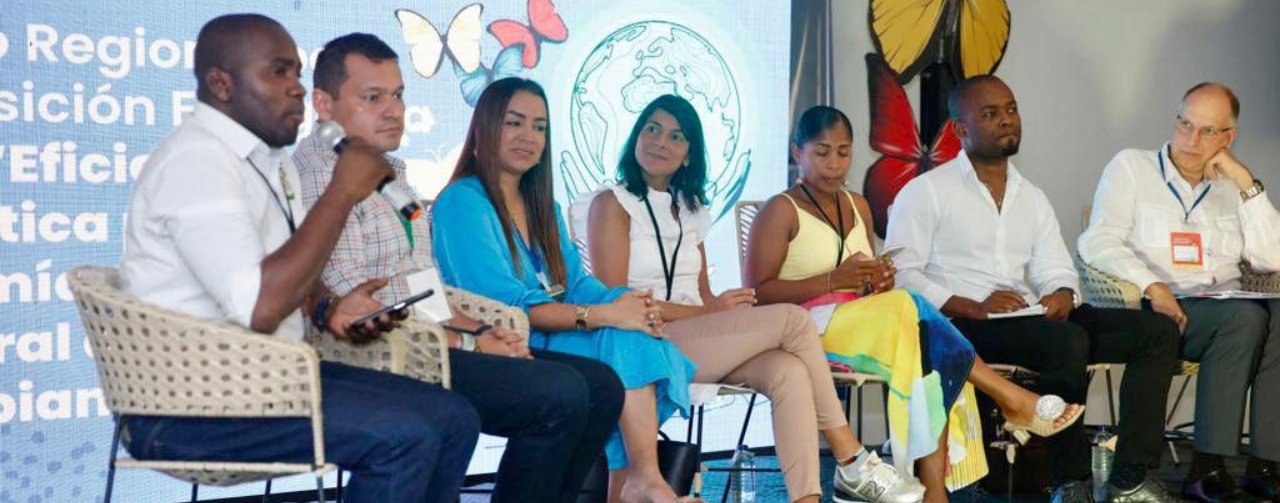 $30 mil millones para transición energética justa en el Pacífico, anunció la Ministra Irene Vélez Torres