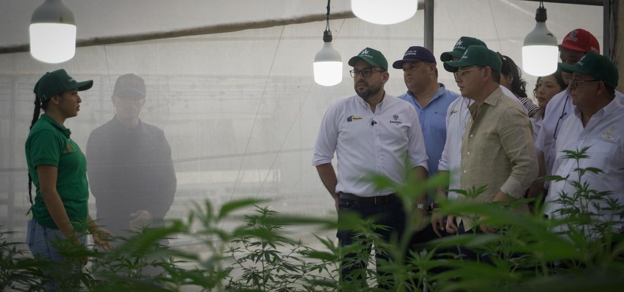 MinEnergía impulsa la descarbonización del agro con la primera granja solar para cannabis medicinal en el Caribe