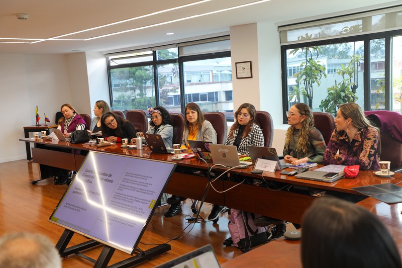 MinEnergía reactiva el Comité de Género para acelerar una transformación con equidad en el sector minero-energético-2