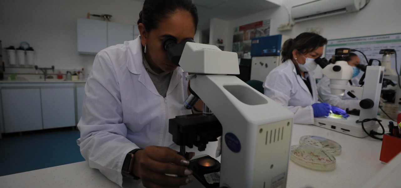 OIEA abre convocatoria de becas para que mujeres jóvenes estudien maestrías en el sector nuclear